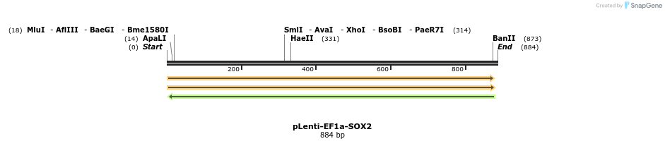 45203_map