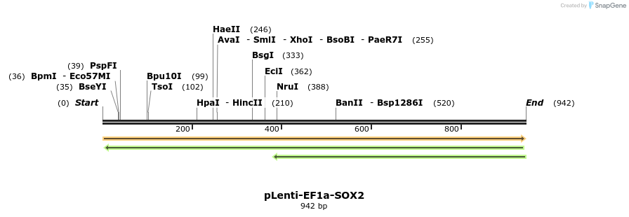 45204_map