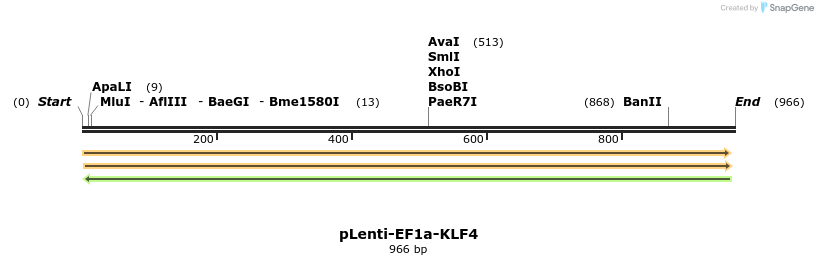 45206_map