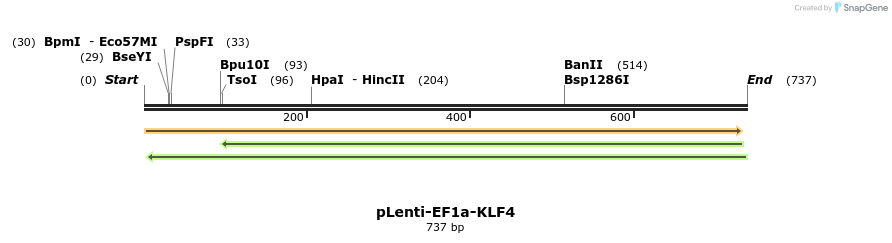 45208_map