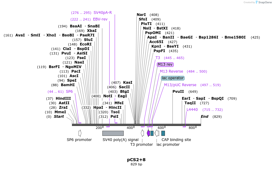45212_map