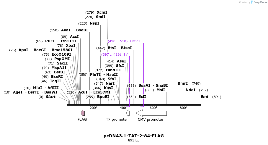 45215_map