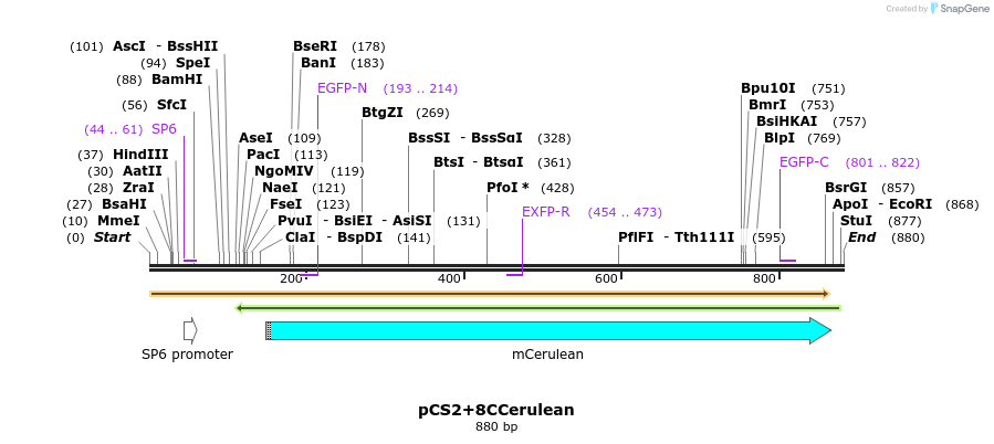 45217_map