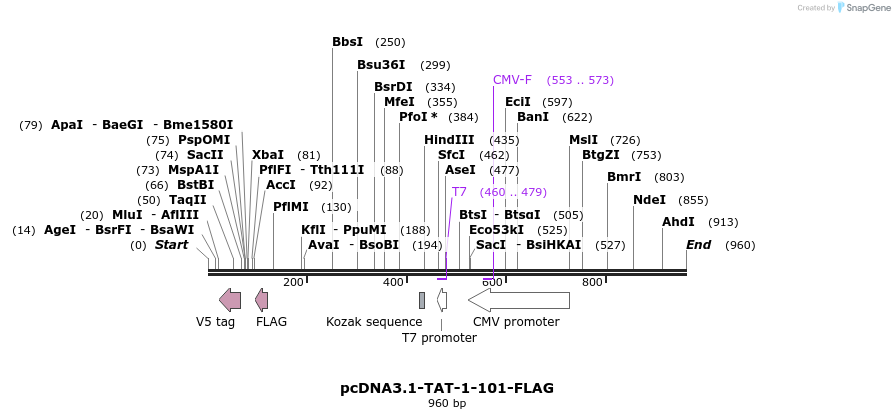 45218_map