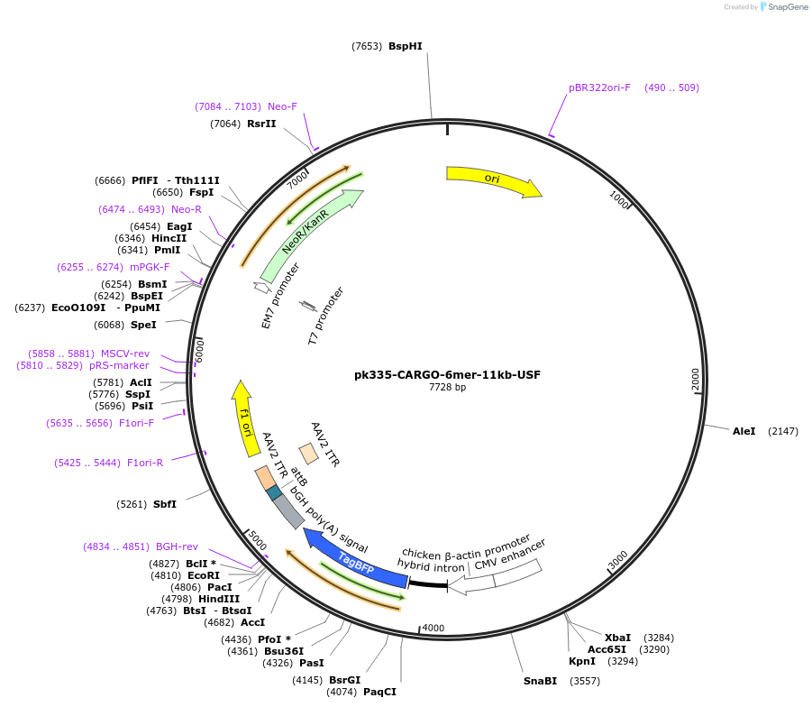 452209_map