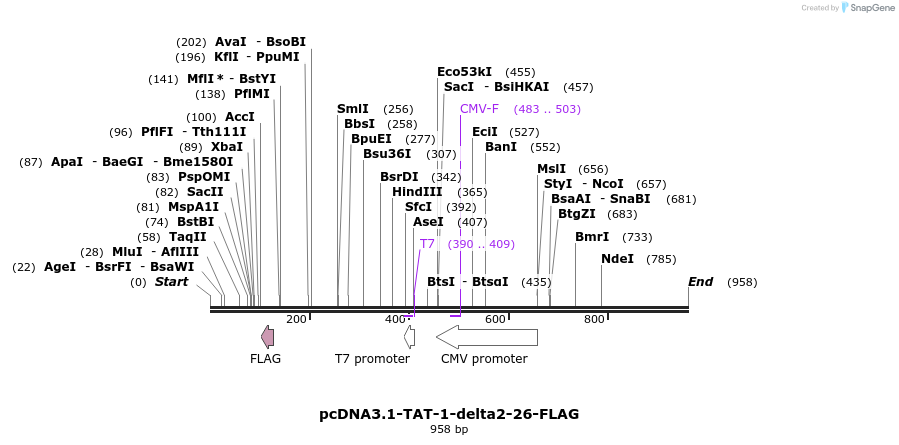 45221_map
