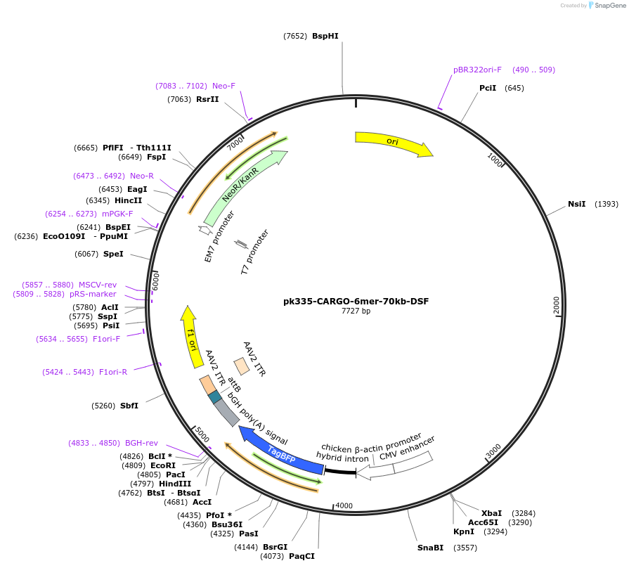 452212_map
