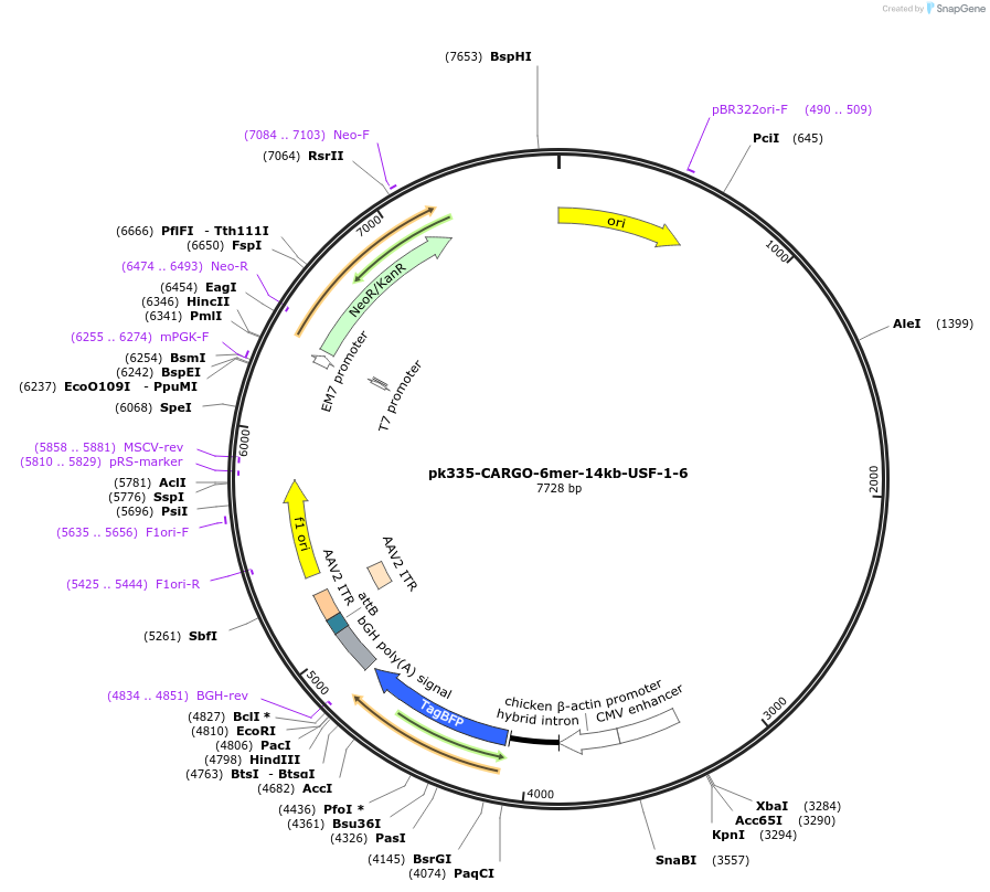 452228_map