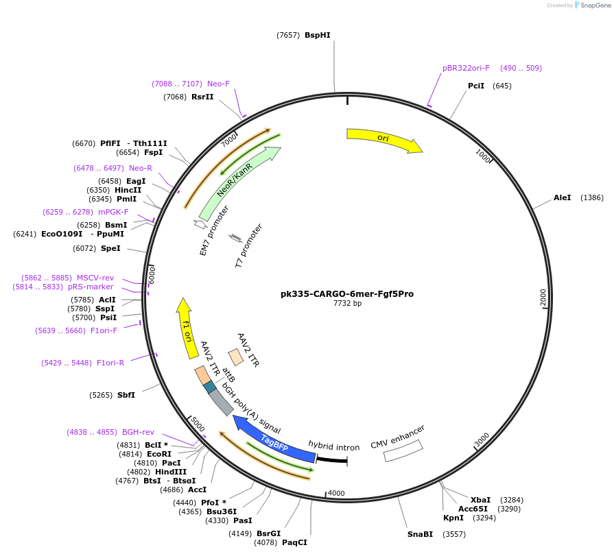 452235_map