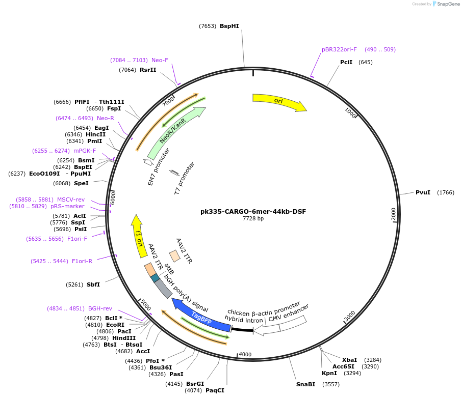 452239_map