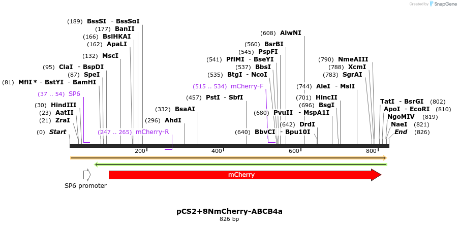 45224_map