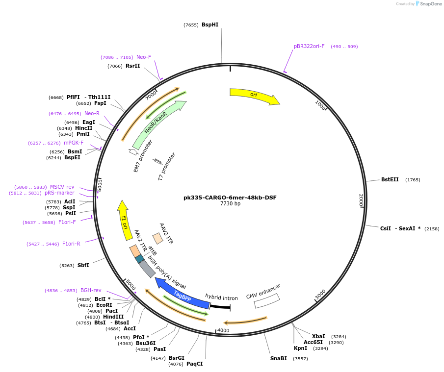 452241_map