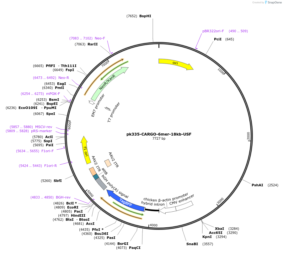 452245_map