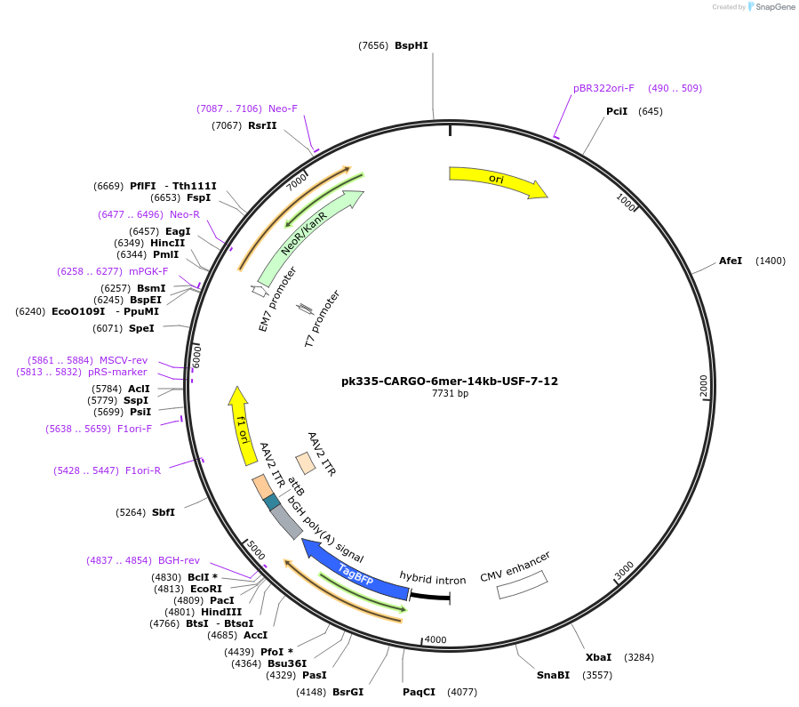 452250_map