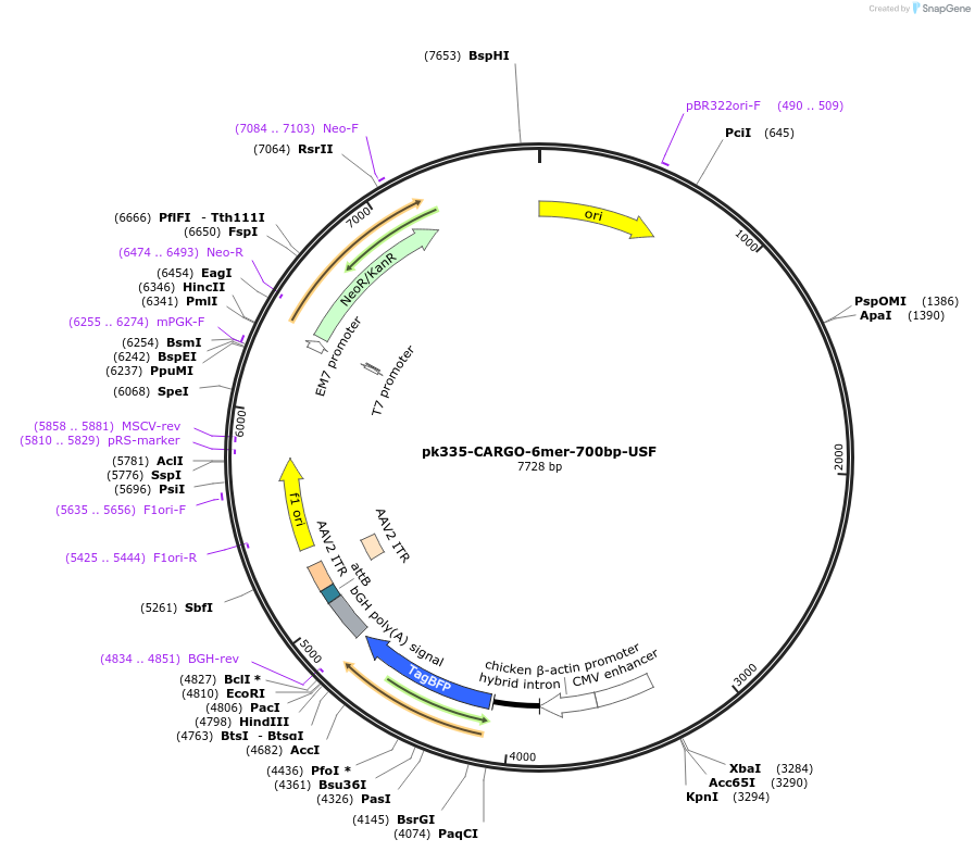 452251_map