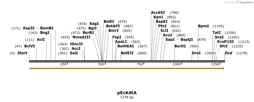 45228_map