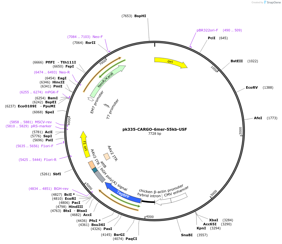 452288_map