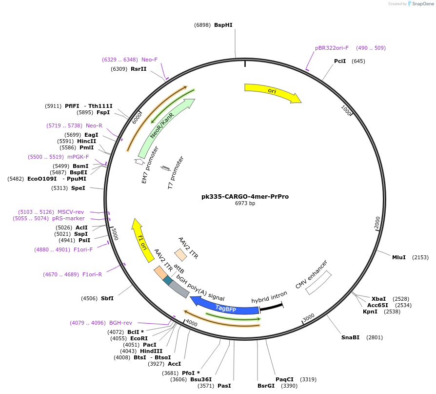 452301_map