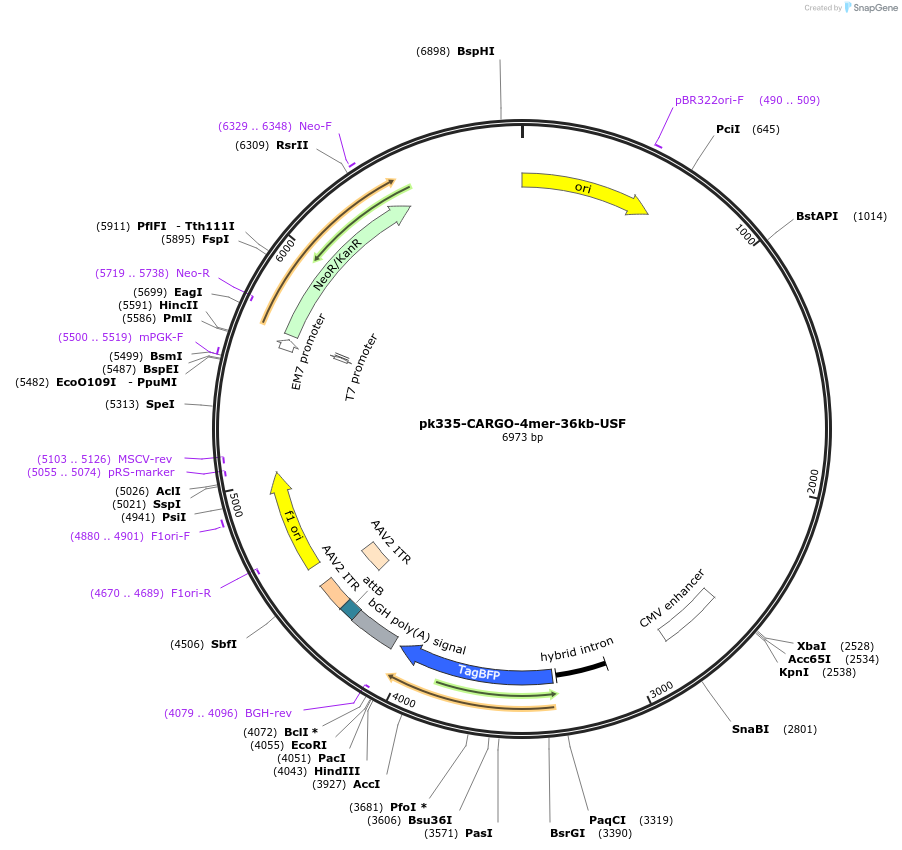 452302_map