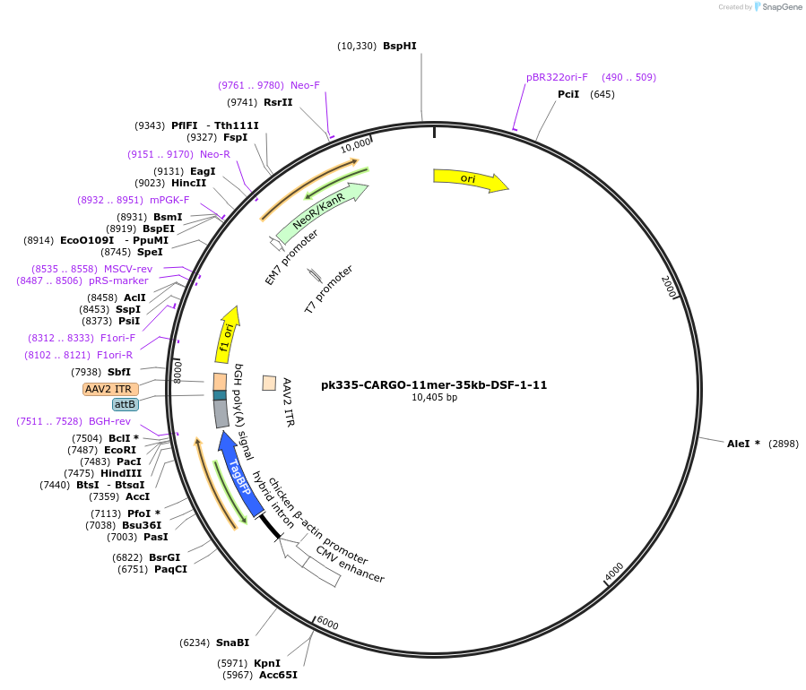 452321_map