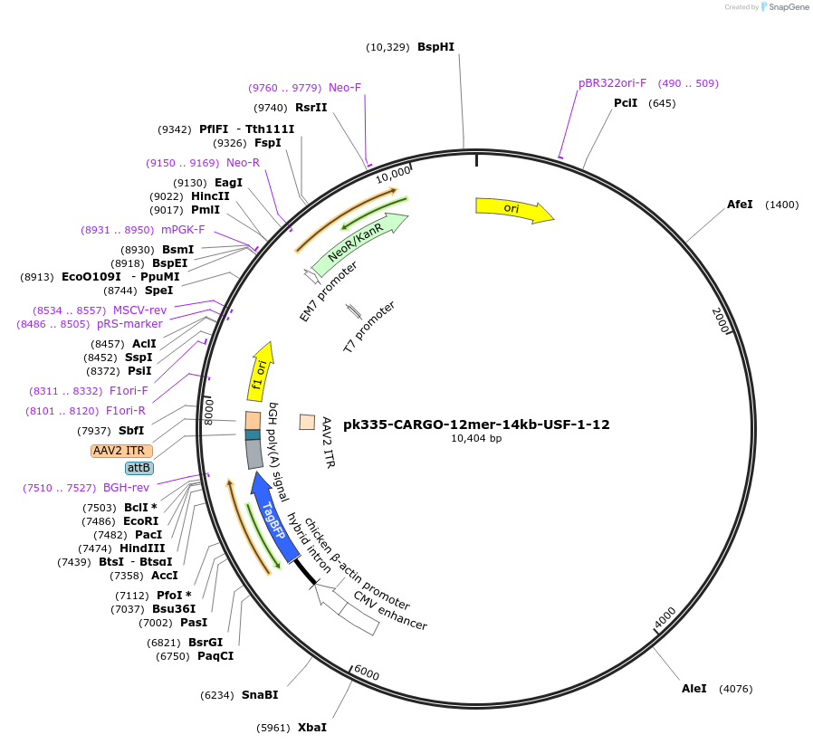 452325_map