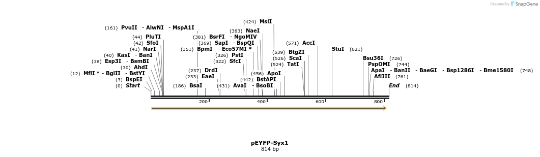 45237_map