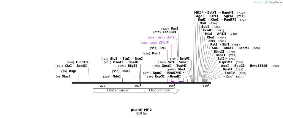 45244_map