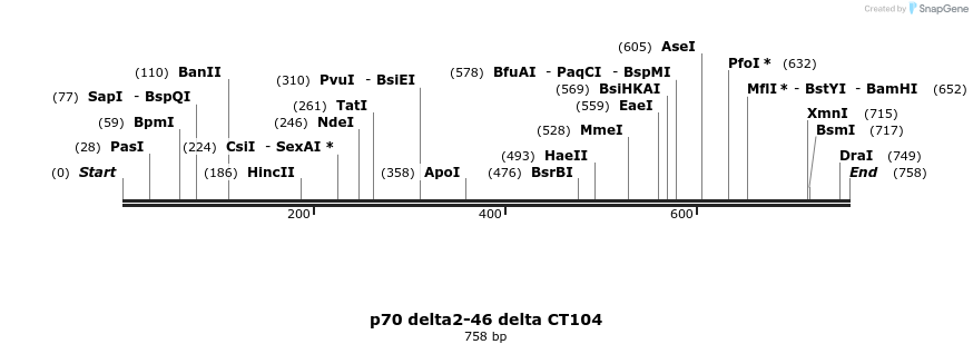 45245_map