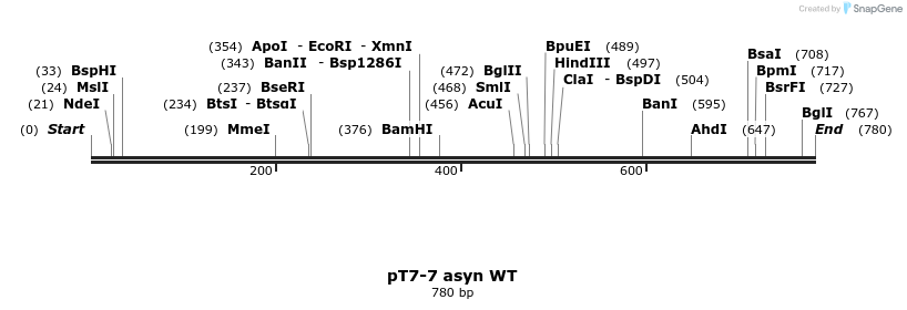 45246_map