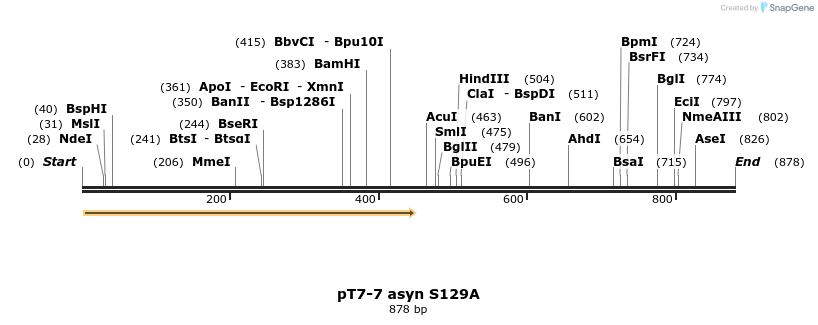 45247_map