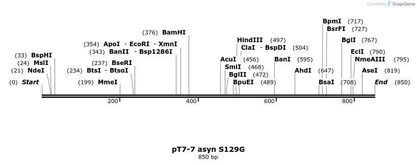 45248_map