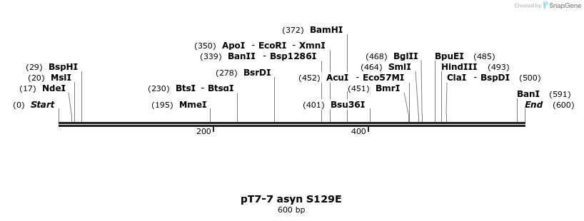 45249_map