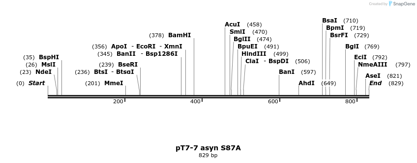 45250_map