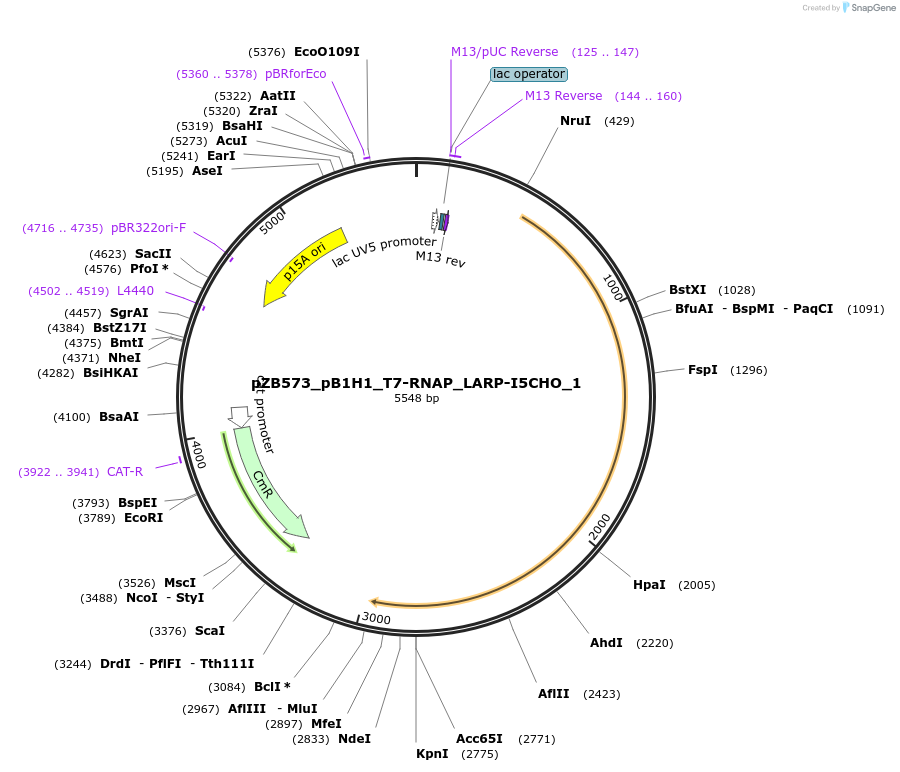 452514_map