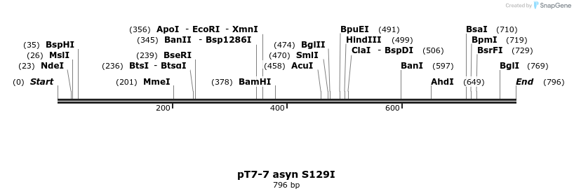 45252_map