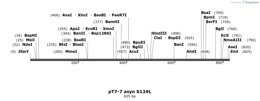 45253_map