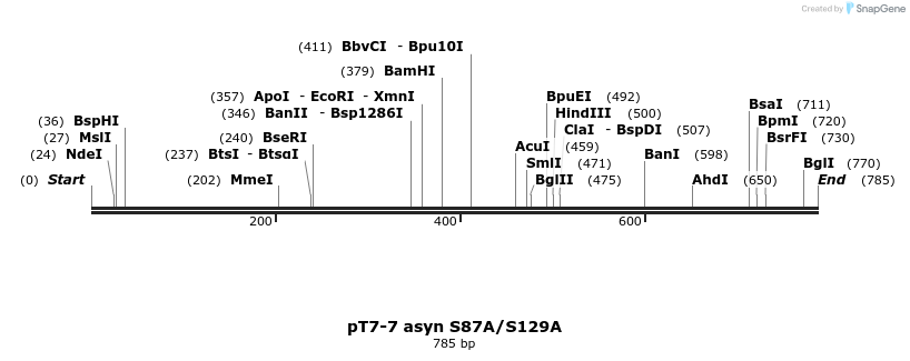 45254_map