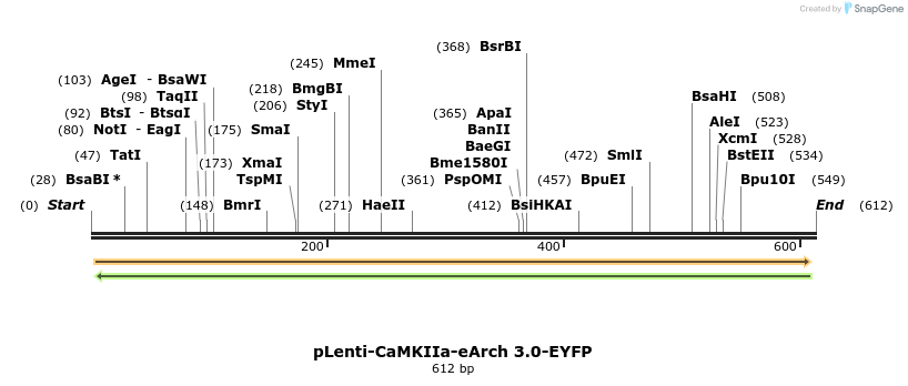 45258_map