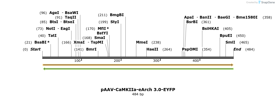 45260_map