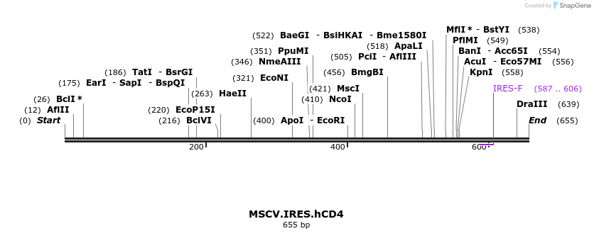 45263_map