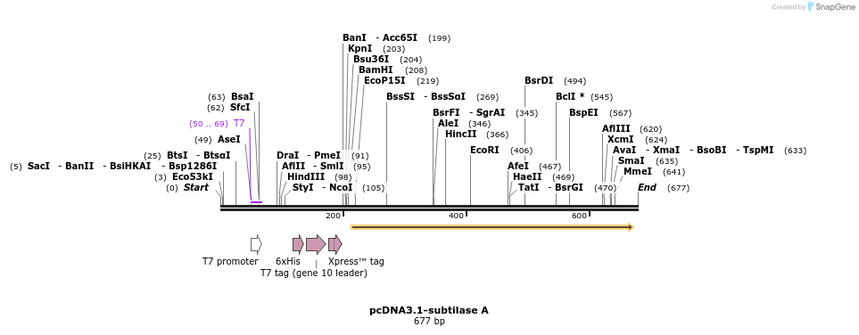 45264_map