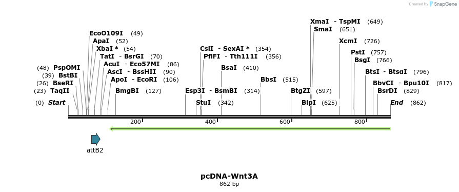 45270_map
