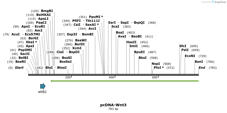 45271_map