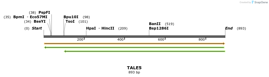 45275_map
