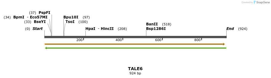 45276_map