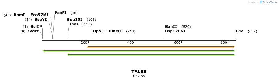 45278_map
