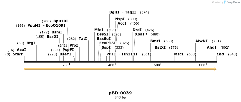 45279_map
