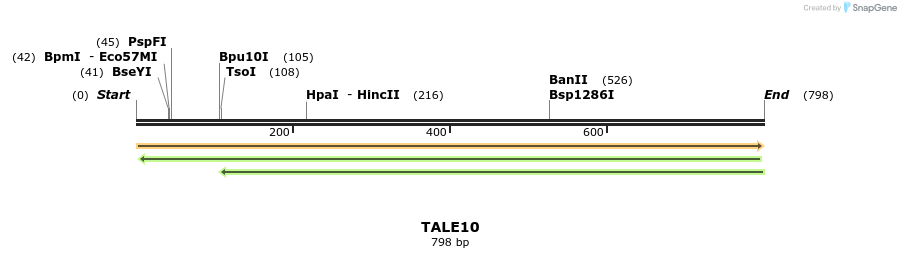 45280_map
