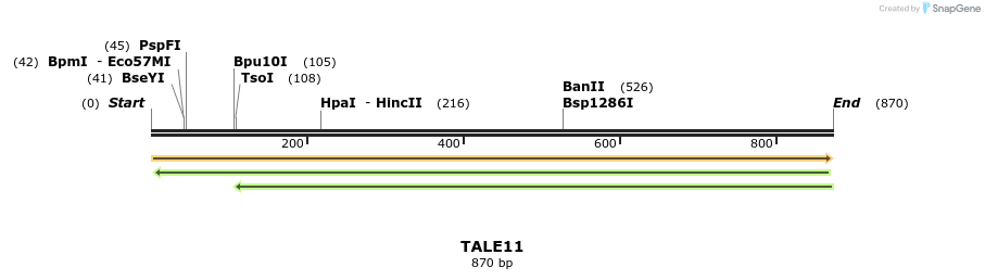 45282_map