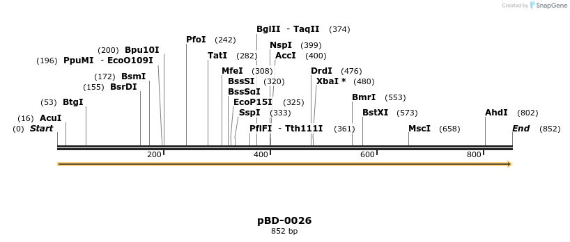 45283_map